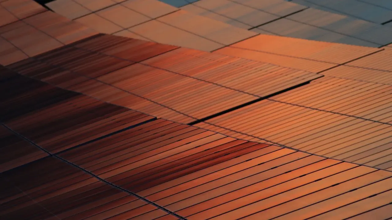 Solar panels glowing at sunset